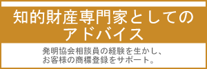 知的財産専門家のアドバイス